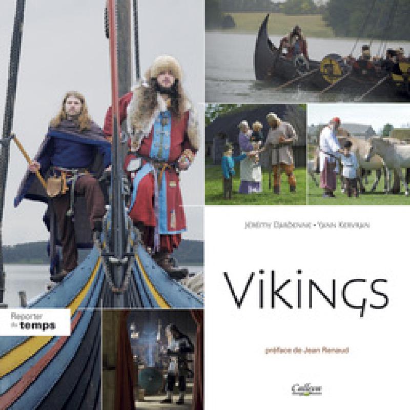 Cover of Vikings, featuring a collage of several images from the book.